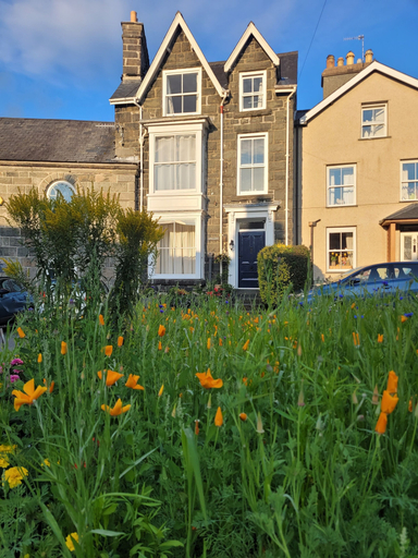 Exterior & Views, Afallon Townhouse, Gwynedd