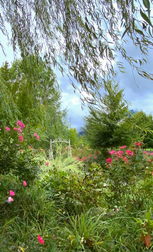 Others 5, Casa del Piol Fattoria dei fiori, Belluno