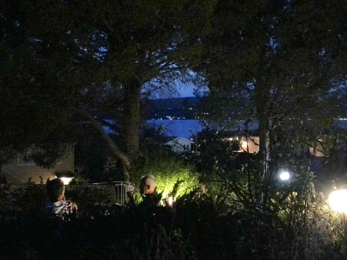 Others 2, Despina Studios and Apartments, Ionian Islands