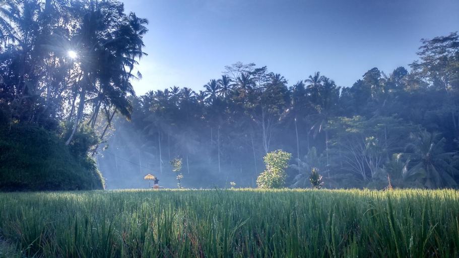 Scenery 3
