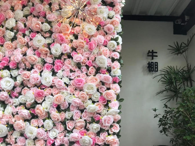 Others 3, Donghai Cottage Backpack Inn Suite, Taichung