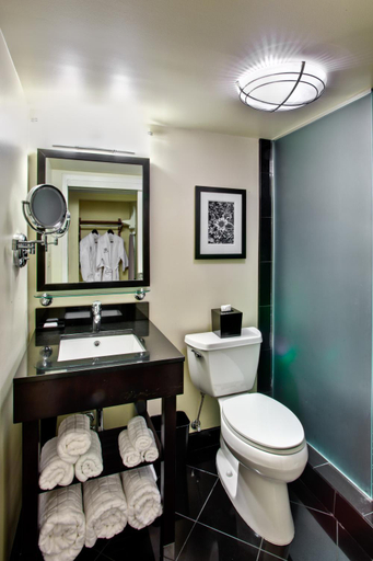 Bathroom 4, Hotel Le Marais, Orleans