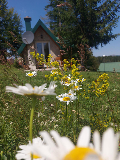 Others 4, Durmitor Bungalows