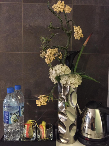 Amenities 11