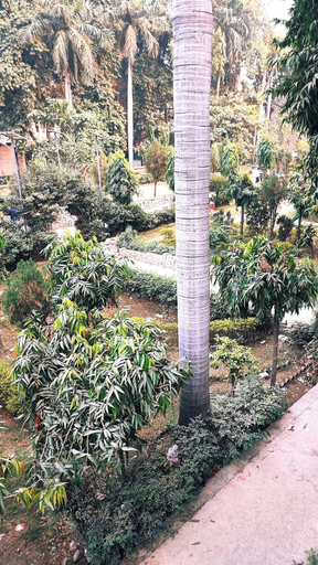 Others 5, taj plaza paying guest house, Varanasi