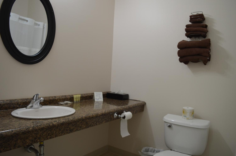Bathroom 3, Auberge MacDonald Guest Inn, Cochrane