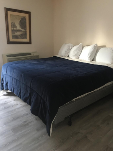 Others 5, All Suites Inn Budget Host, Union