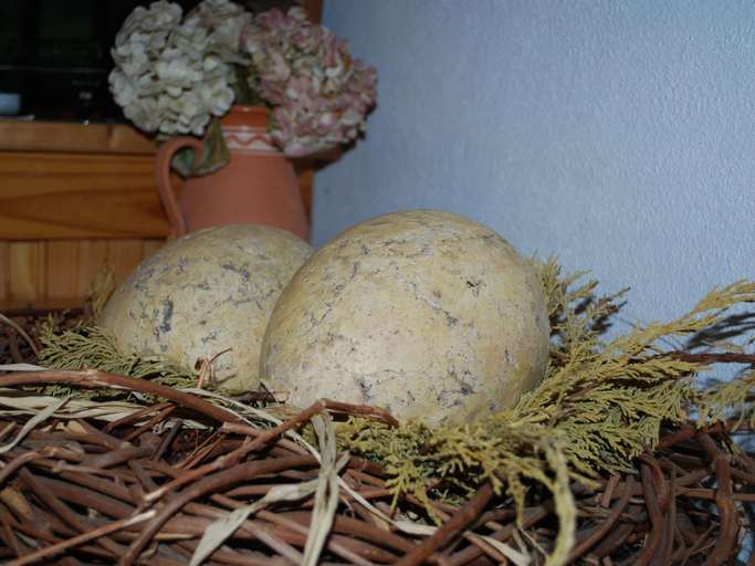 Food & Drinks 5, Idyllische Wohnung mit Pool in Mecklenburg, Mecklenburgische Seenplatte