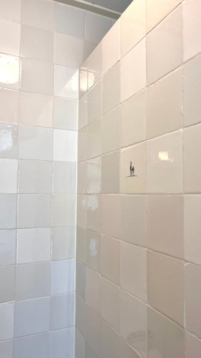 Bathroom 3, Hotel Greate Pier, Wûnseradiel