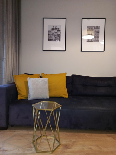 Apartament Lakoszyn Kutno, Kutno