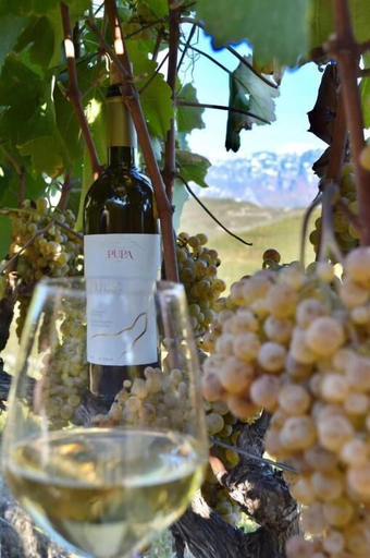 Food & Drinks 5, Pupa Winery Serene Stay, Beratit