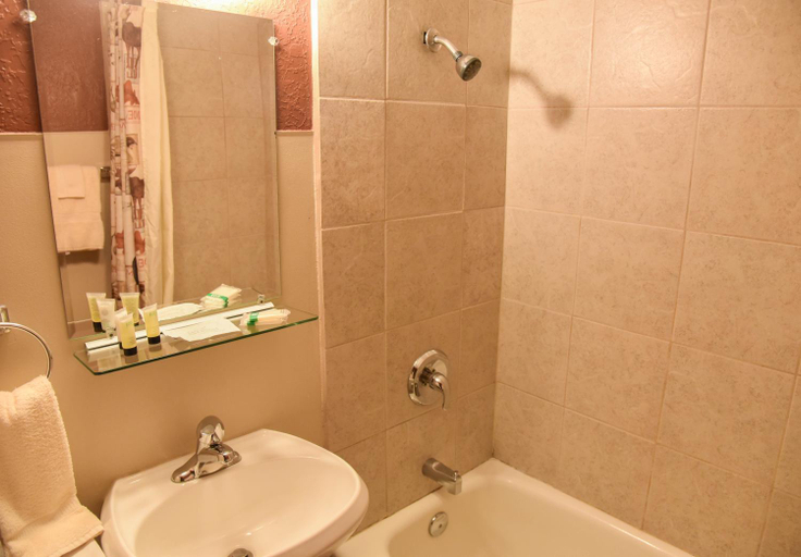 Bathroom 3, Alpine Lodge Red River, Taos