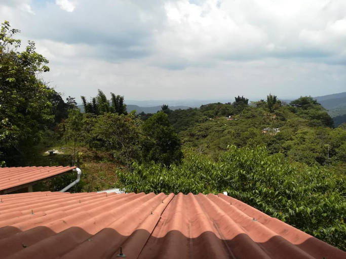 Surrounding environment