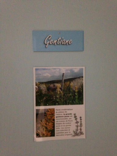 Others 2, GITE DU FORAIL, Aveyron