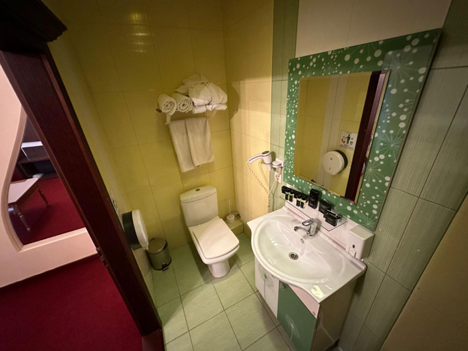 Bathroom 2, Viktoriya Hotel, Kyievo-Sviatoshyns'kyi