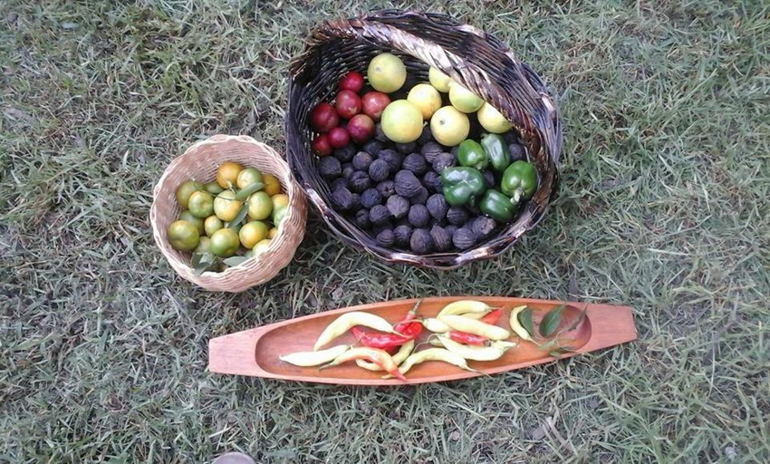 Others 4, Casa del Aguacate Cumbaya - Tumbaco, Quito