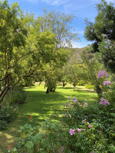 Others 4, The Retreat at Groenfontein, Eden