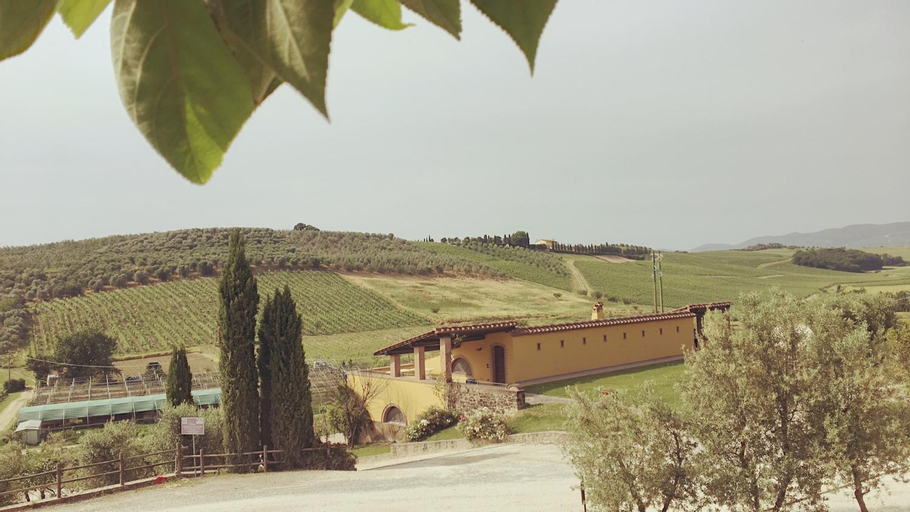 Bacco a Petroio, Florence