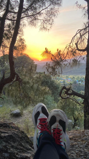 Others 5, Bir Nest Hostel, Kangra