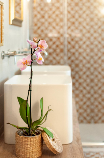 Bathroom 2, Filinona B&B, Syracuse