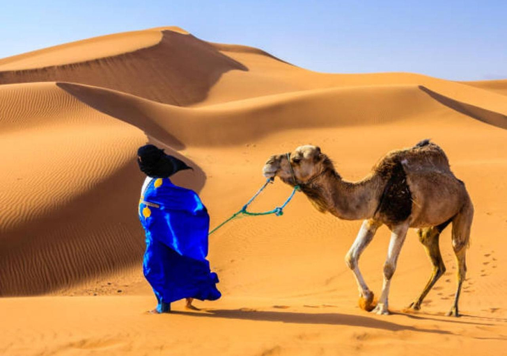 Desert glamping experience, Errachidia