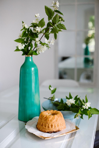 Food & Drinks 5, Villa Hygiea, Klagenfurt Land
