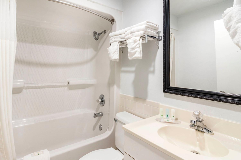 Bathroom 4, Quality Inn near Six Flags, Douglas