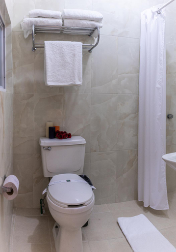Bathroom, Hotel San Antonio, Aguascalientes
