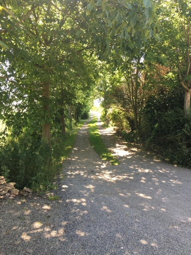 Others 2, La Suzannerie, Sarthe