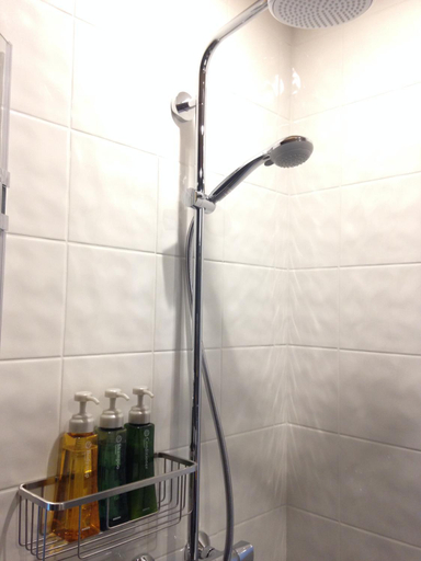 Bathroom 3, Element, Furano