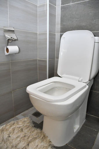 Bathroom, Sky park view apartment, Mavoko