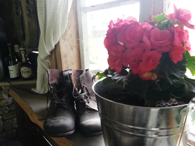 Food & Drinks, Piibelehe Guest Accommodation, Kuressaare
