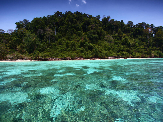 Scenery 6
