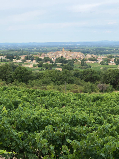 Others 5, Le Colombier, Vaucluse