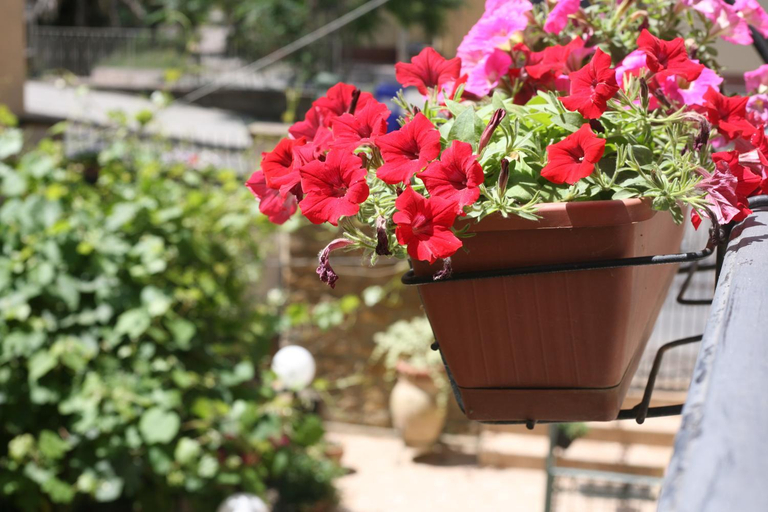 Others 4, Appartamento A Casa di Gesue, Enna