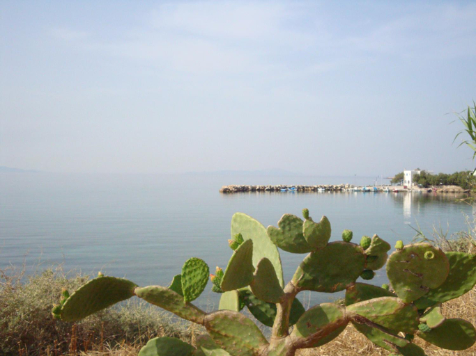 Others 4, Blue & Sea Studios Apartments, South Aegean
