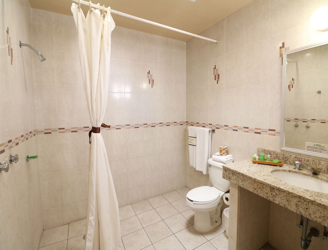 Bathroom 5, Misión Aguascalientes Zona Sur, Aguascalientes
