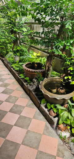 Others 2, Pakin house, Nua Khlong