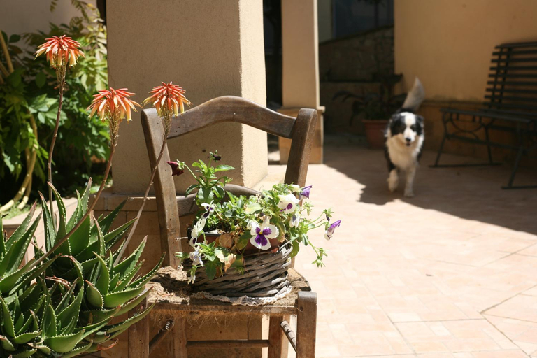 Others 5, Appartamento A Casa di Gesue, Enna