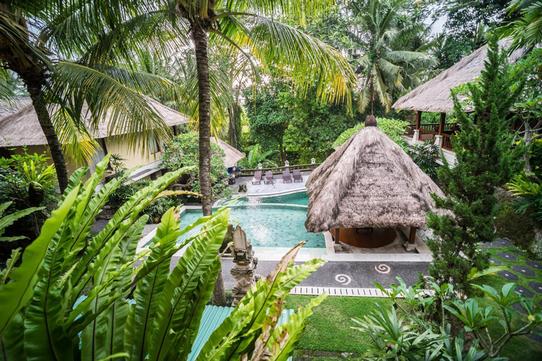 Swimming Pool 8