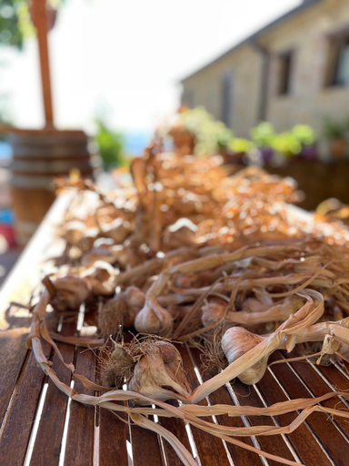 Food & Drinks 4, LA TANA DEL PICCHIO, Parma