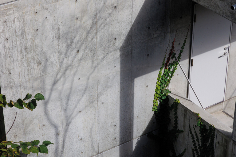 Others 5, RUBY 501, Otaru