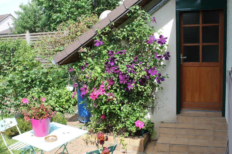 Others 2, Chambre d'Hotes "Orchidees", Eure-et-Loir