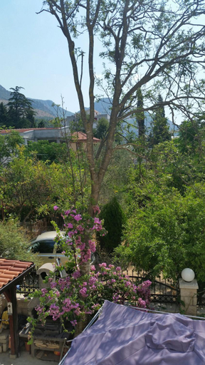 Others 2, Apartments Beba Zalad