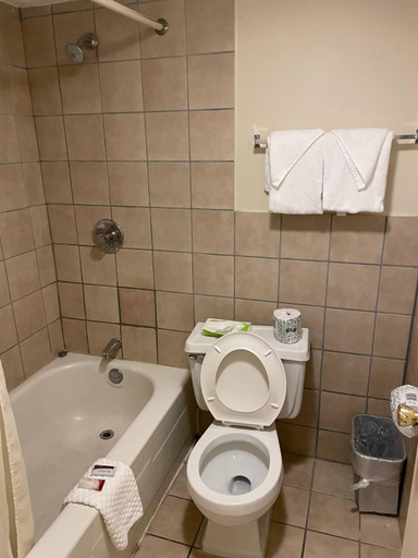 Bathroom 3, Wildwood Inn, Boone