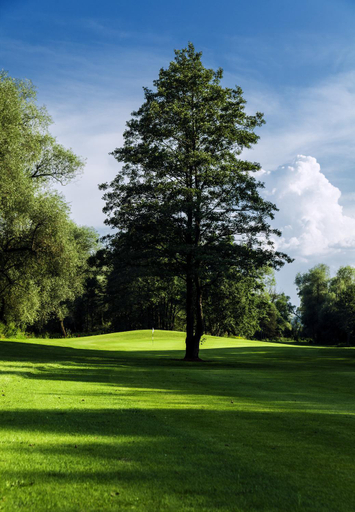 Others 5, Tri Duby Golf Apartments, Zvolen
