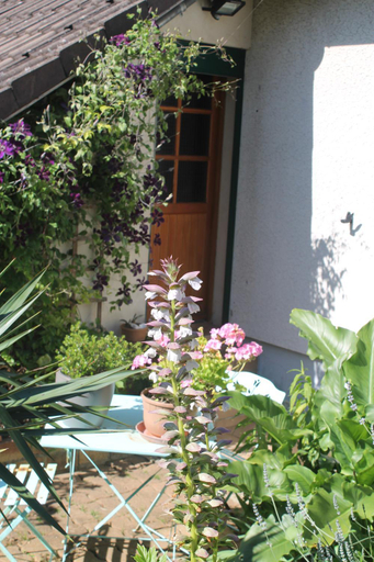 Others 5, Chambre d'Hotes "Orchidees", Eure-et-Loir