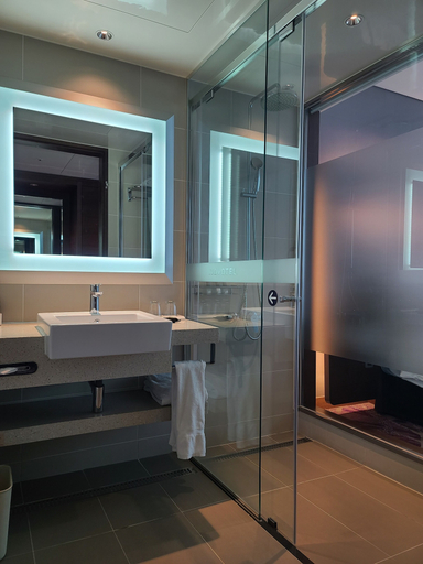 Bathroom 4, Novotel Ambassador Suwon, Suwon
