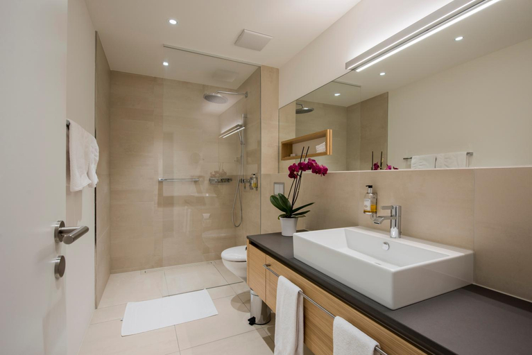 Bathroom 4, Hotel Fravi, Hinterrhein