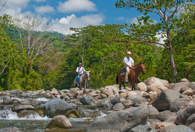 Others 4, Casitas Del Rio Riverfront Nature Lodge, Osa